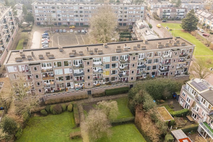 Foto 41 van Looplantsoen 46