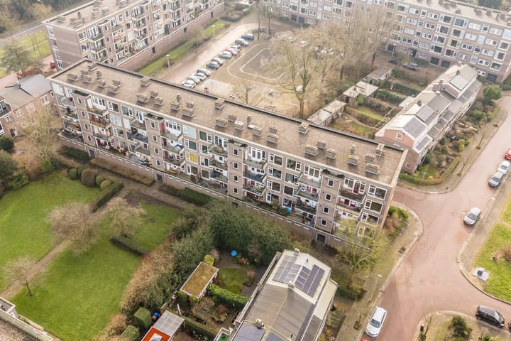 Foto 42 van Looplantsoen 46