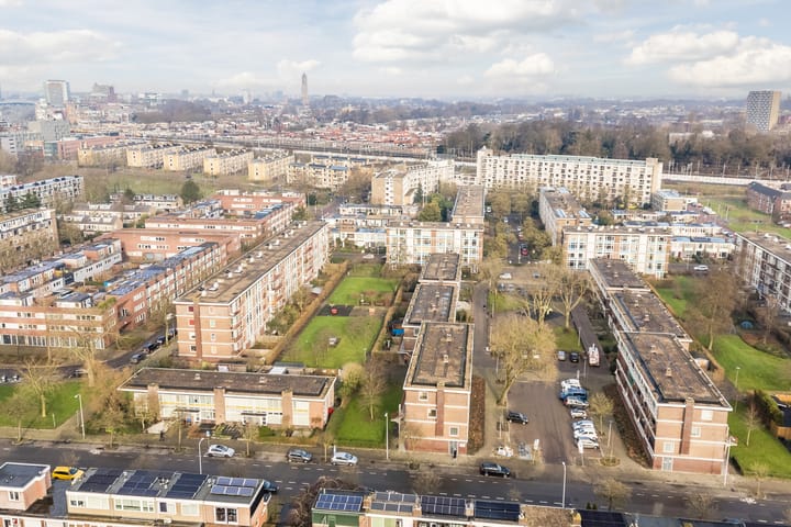 Foto 46 van Looplantsoen 46