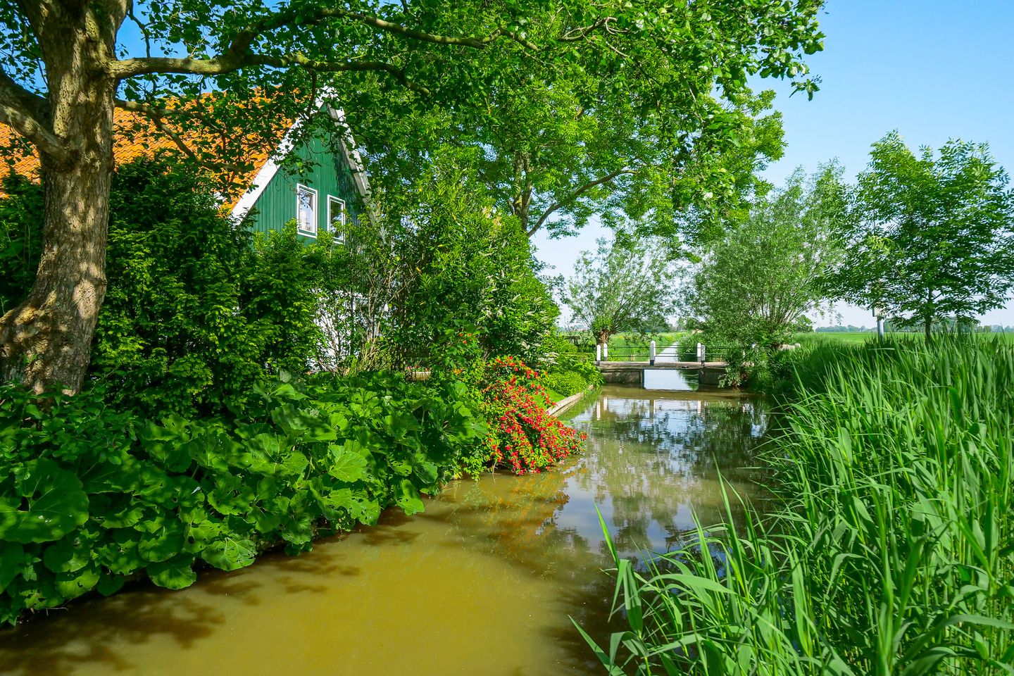 Foto 10 van Moerbeek 11