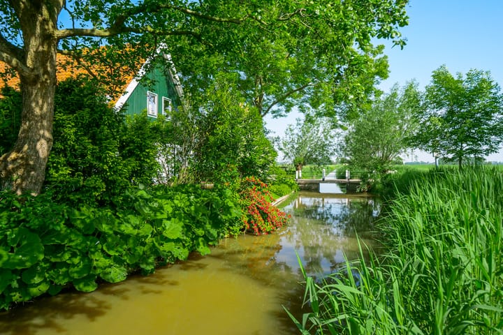 Foto 10 van Moerbeek 11