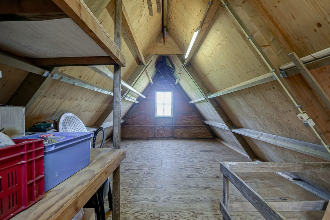 Foto 58 van Moerbeek 11