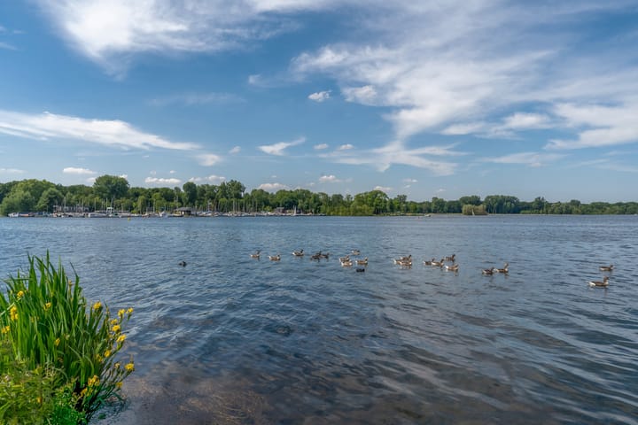 Foto 30 van 2e Jerichostraat 6-B