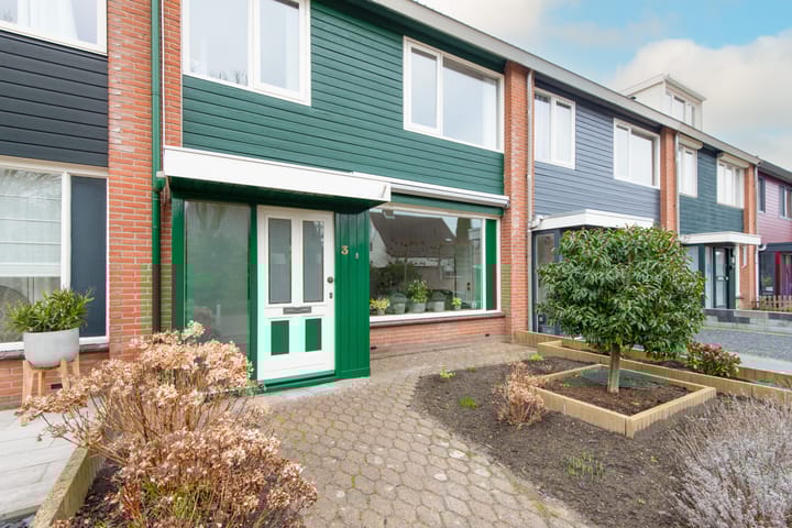 Foto 9 van Hooiklamp 3