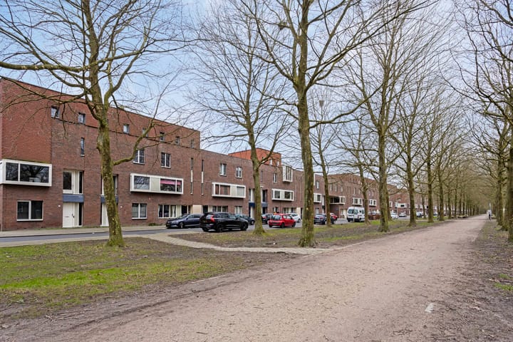 Foto 38 van St.-Pietersberg 63