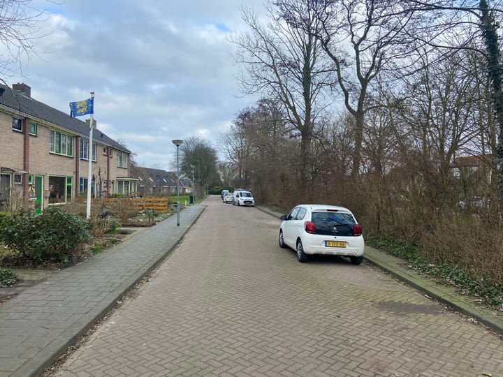 Foto 2 van Zeger Davidzonweg 34