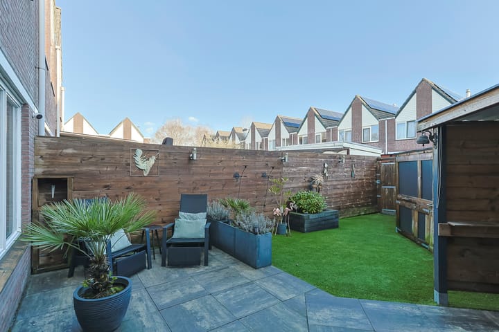 Photo 50 of Aardster 257