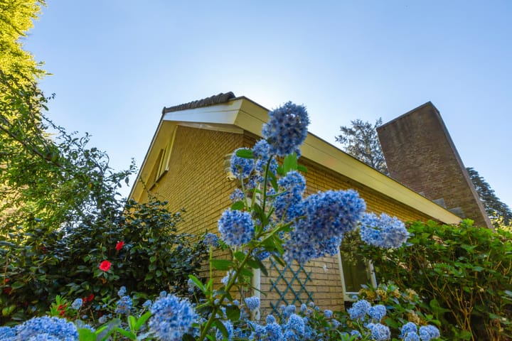 Photo 36 of Bernard Zweerslaan 31