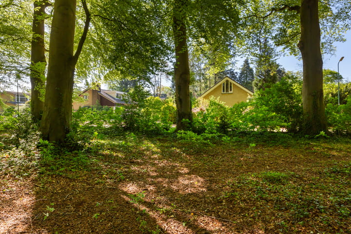 Photo 37 of Bernard Zweerslaan 31