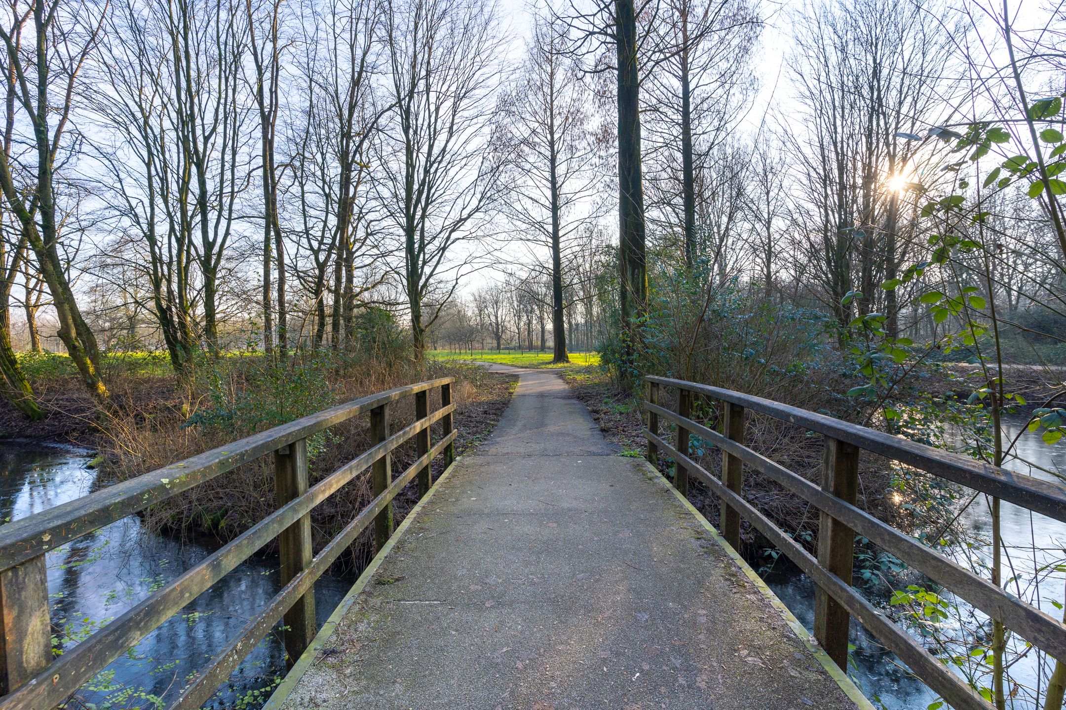 Foto 42 van Parelduiker 28