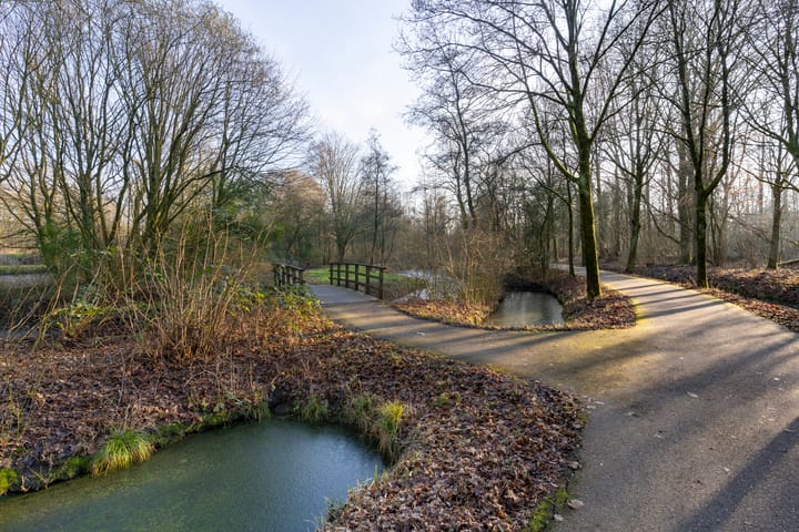 Foto 43 van Parelduiker 28