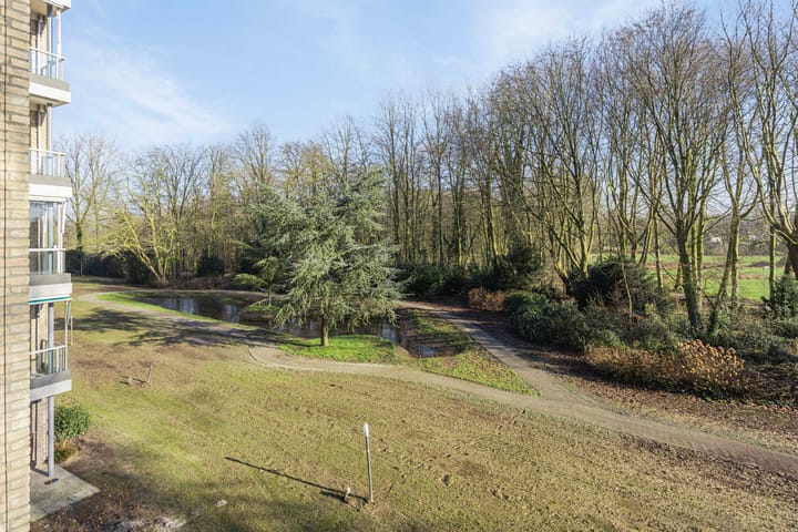 Photo 29 of Esschebaan 166