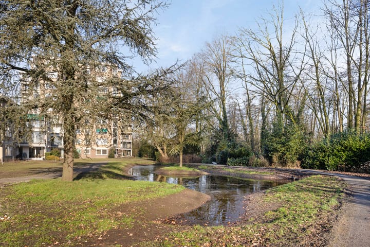 Photo 36 of Esschebaan 166