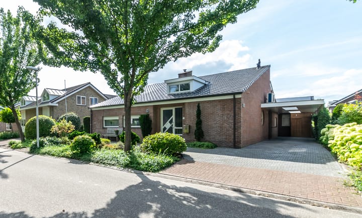 Foto 4 van Damhert 4