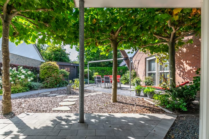 Foto 43 van Damhert 4