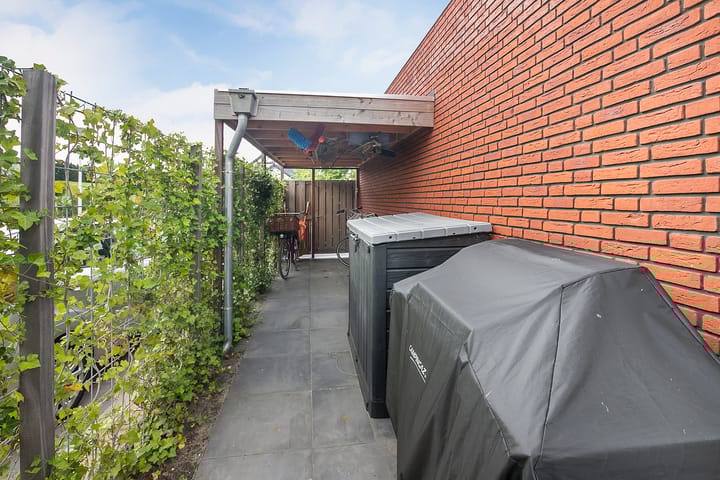 Foto 50 van Stekelbaars 2