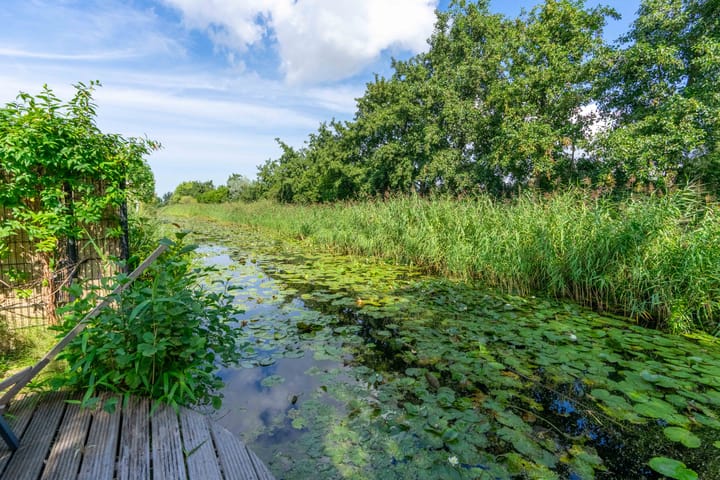 Foto 49 van Snoeklaan 35