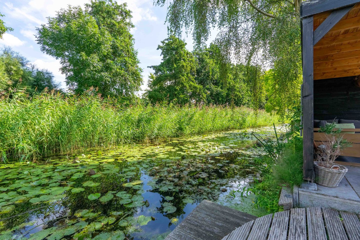 Photo 50 of Snoeklaan 35