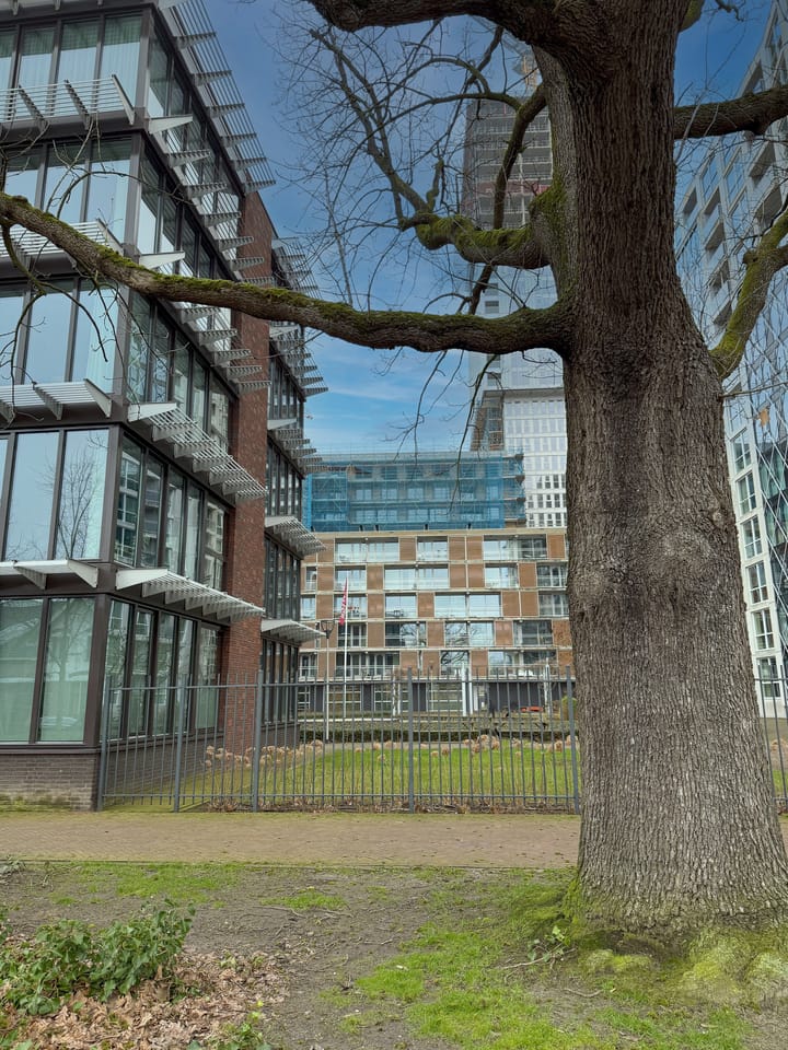 Foto 4 van Gerard Philipslaan 35