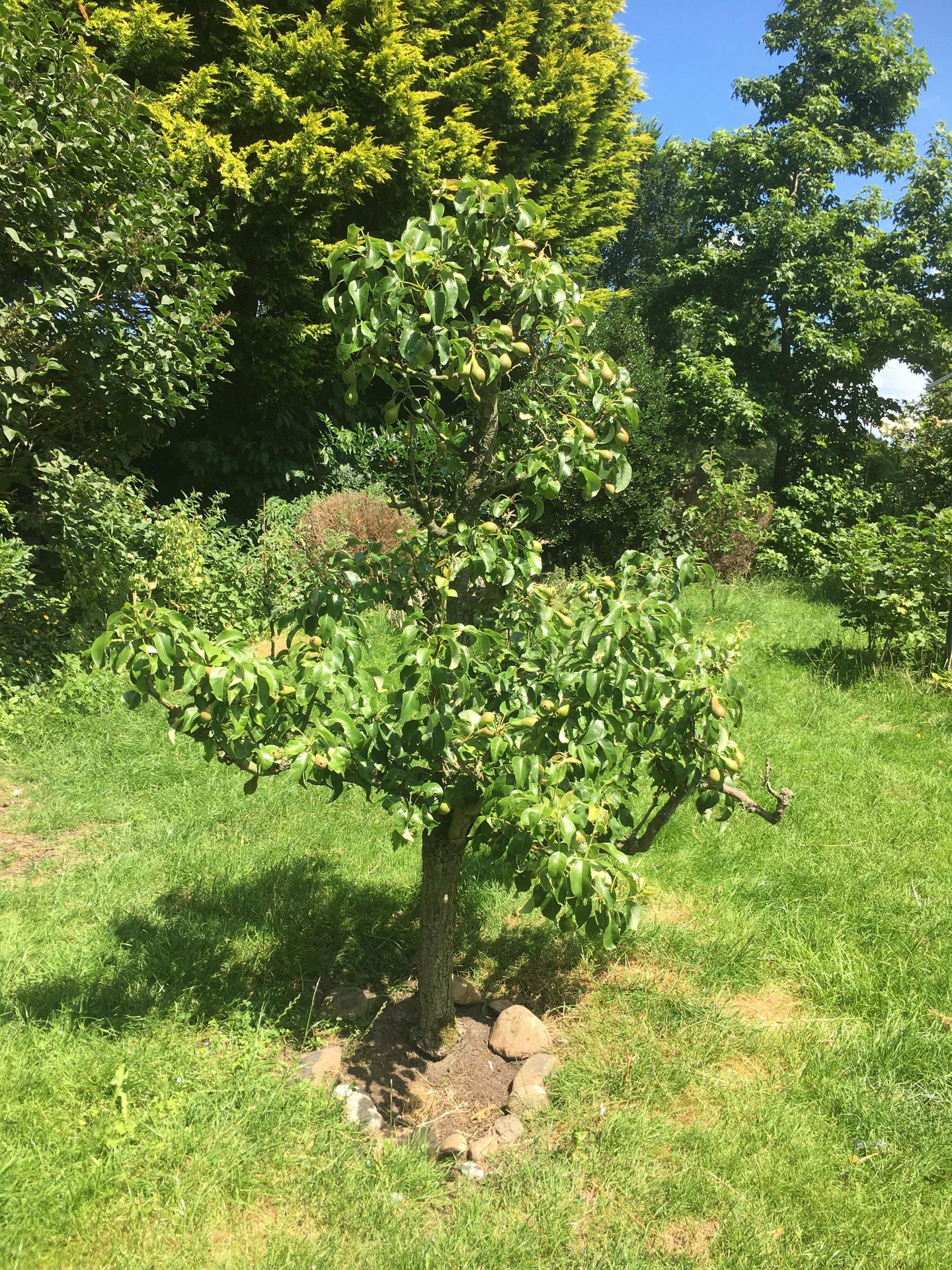 Foto 44 van Nieuweweg 27