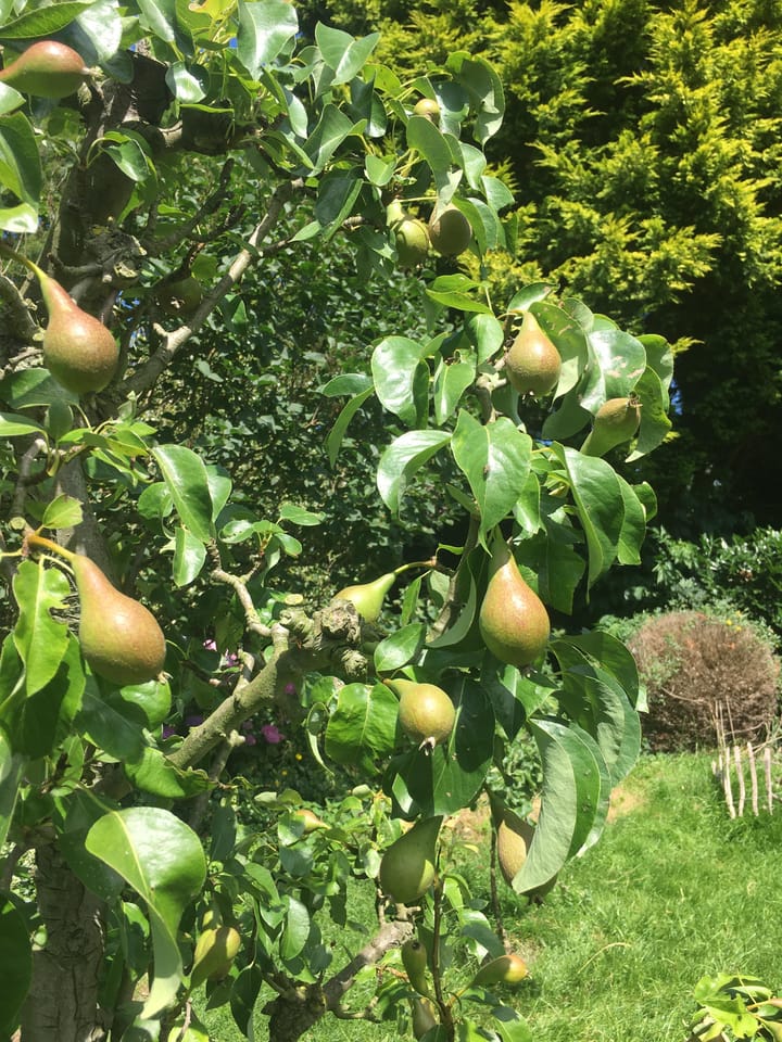 Foto 45 van Nieuweweg 27