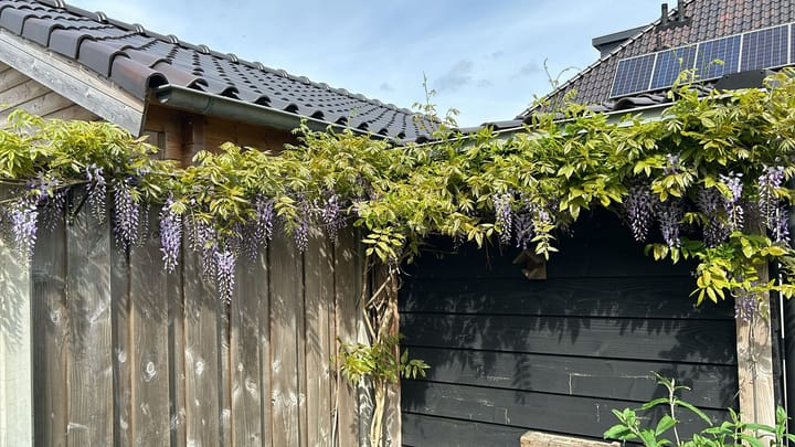 Foto 24 van De Ruijtbaan 23