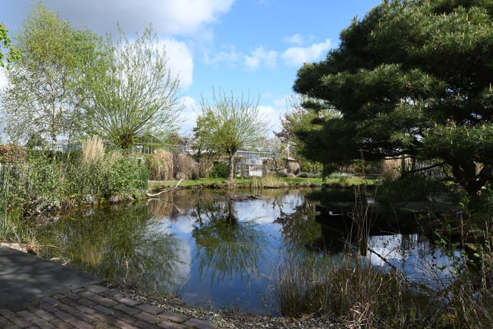 Foto 37 van Napoleonsweg 136