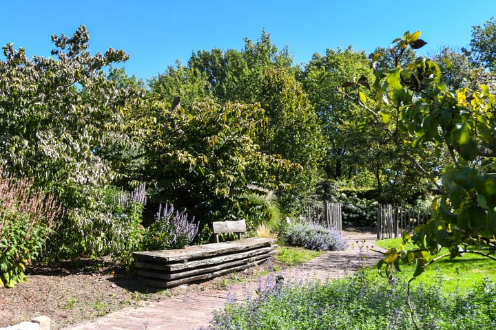 Foto 42 van Napoleonsweg 136