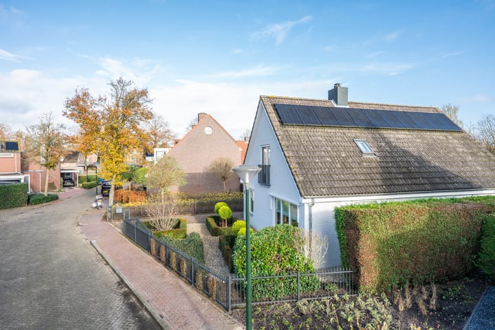 Foto 8 van Kruisboog 6