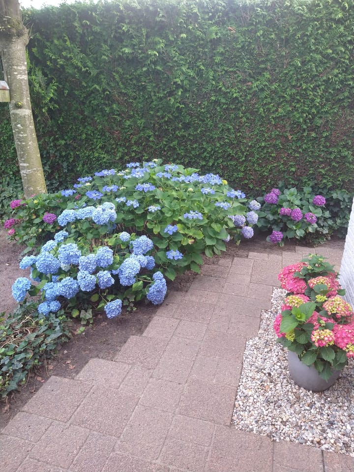 Foto 42 van Kruisboog 6