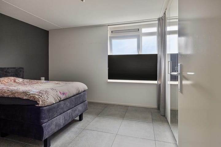 Photo 15 of Winter 19