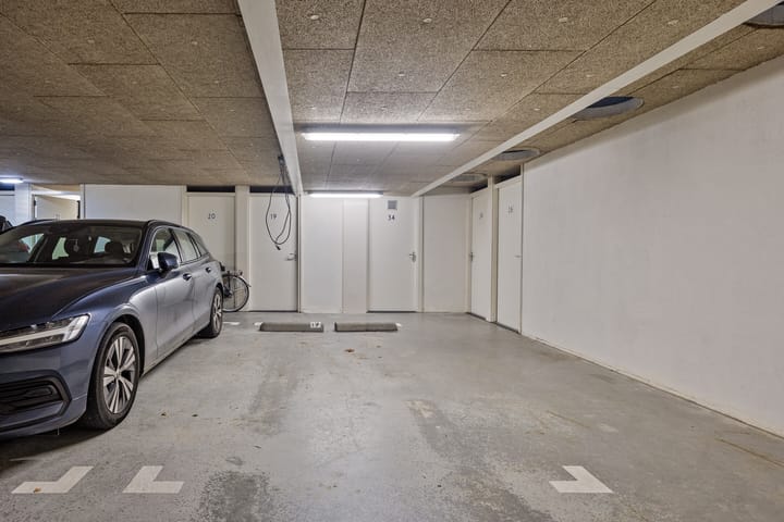 Photo 31 of Winter 19