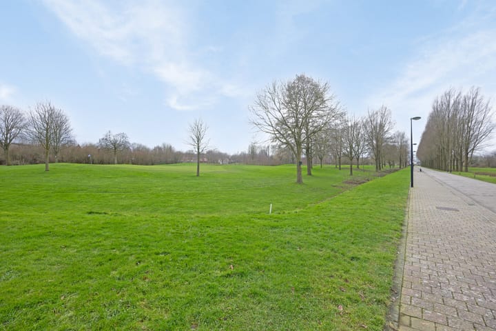 Photo 30 of Winter 19