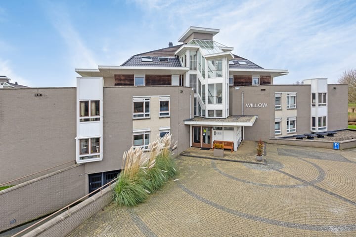 Photo 35 of Winter 19