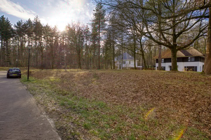 Foto 38 van David Goskerstraat 9