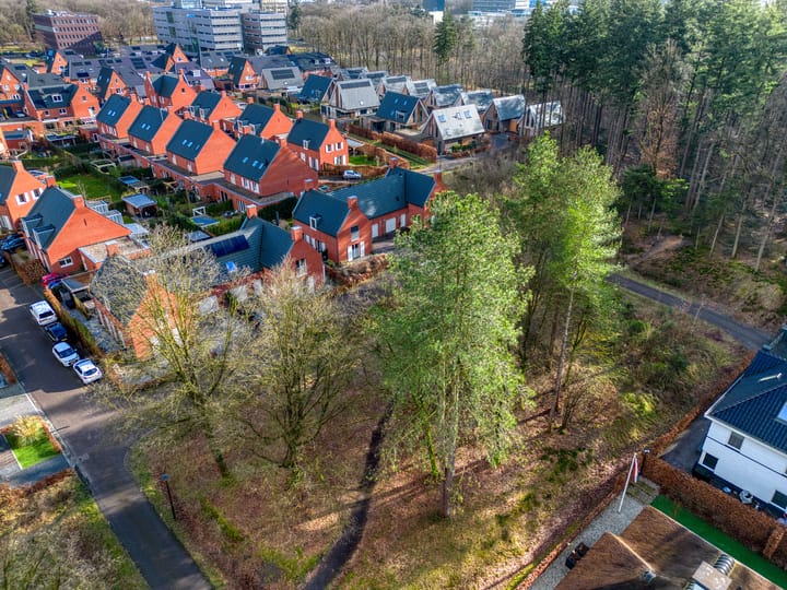 Foto 46 van David Goskerstraat 9