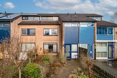 undefined main image