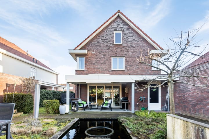 Foto 4 van Vlinder 3