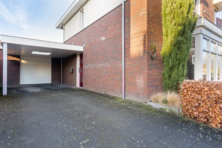 Foto 5 van Vlinder 3