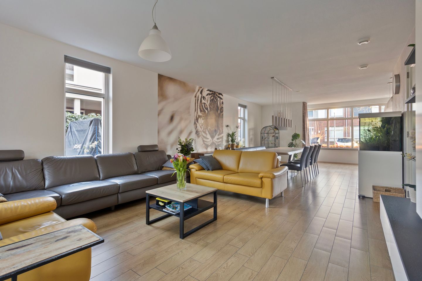 Foto 10 van Vlinder 3