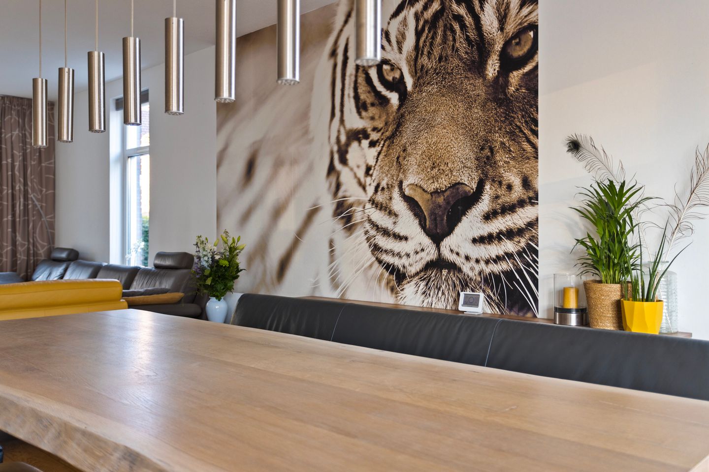 Foto 19 van Vlinder 3