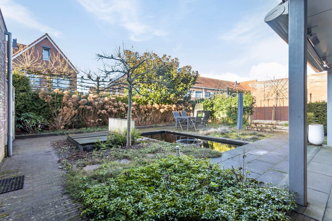 Foto 28 van Vlinder 3