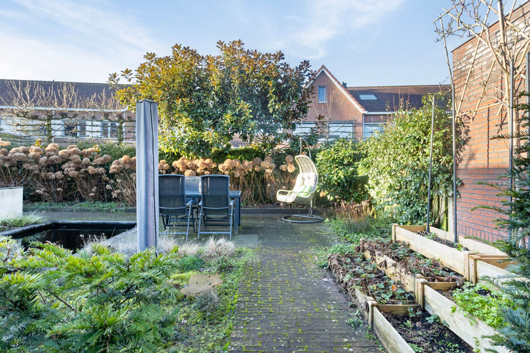 Foto 33 van Vlinder 3