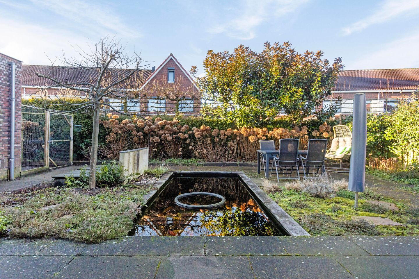 Foto 35 van Vlinder 3