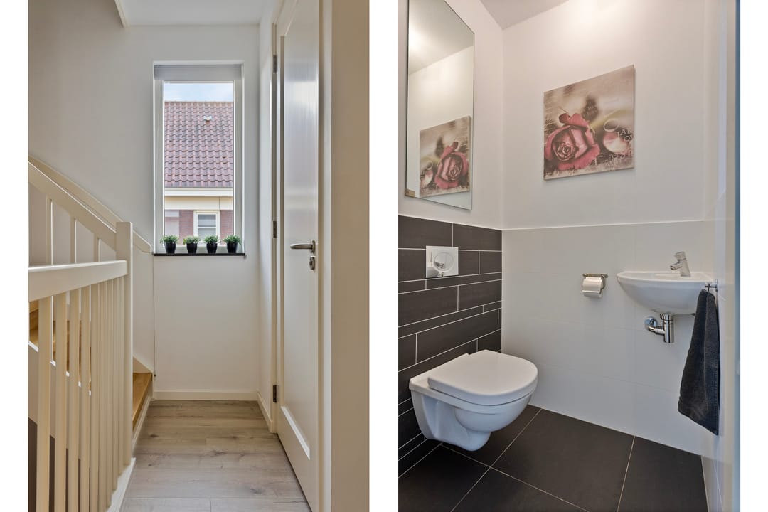 Foto 38 van Vlinder 3