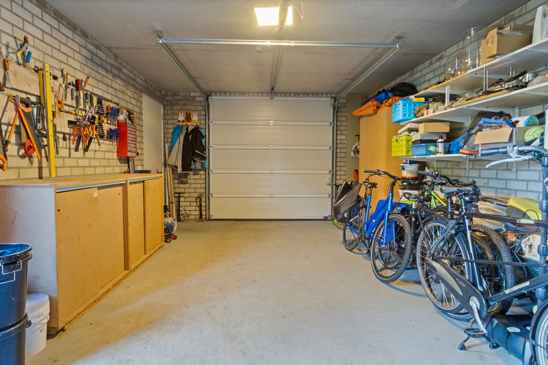 Foto 61 van Vlinder 3