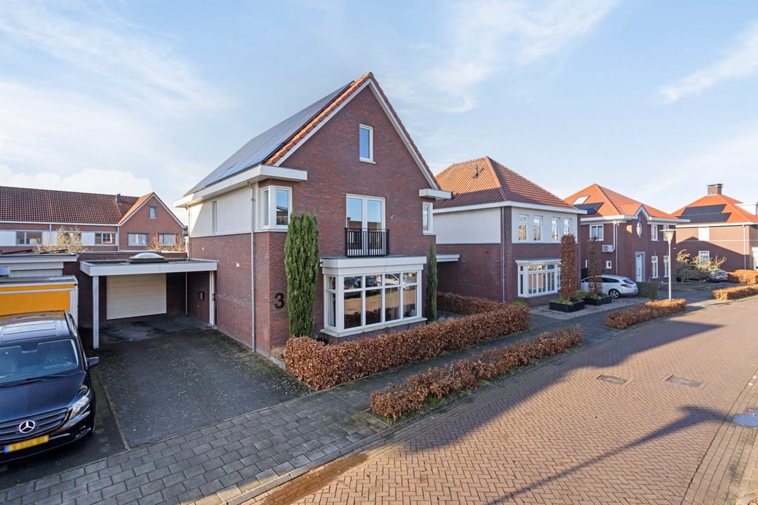 Foto 62 van Vlinder 3