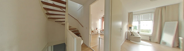 foto8