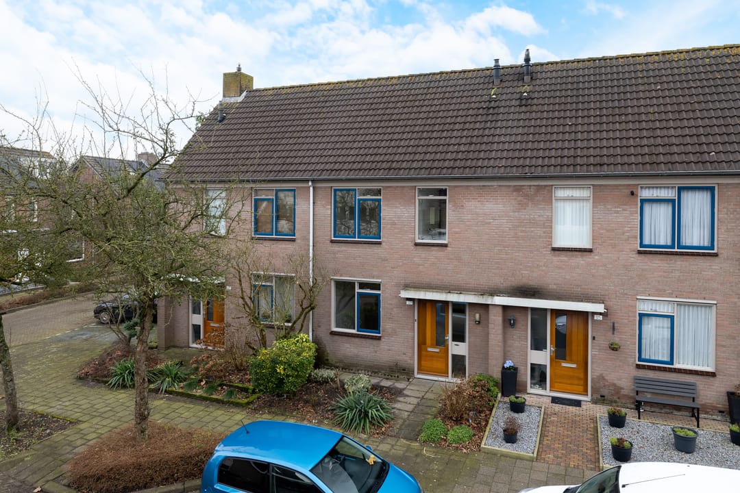 Foto 1 van Roerdomp 123