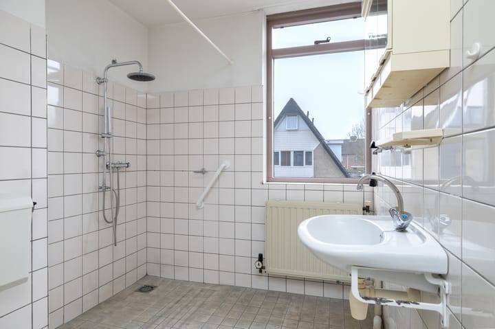 Foto 4 van Roerdomp 123